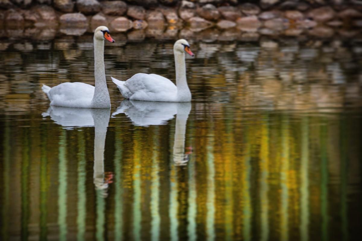 Javier González Javier González