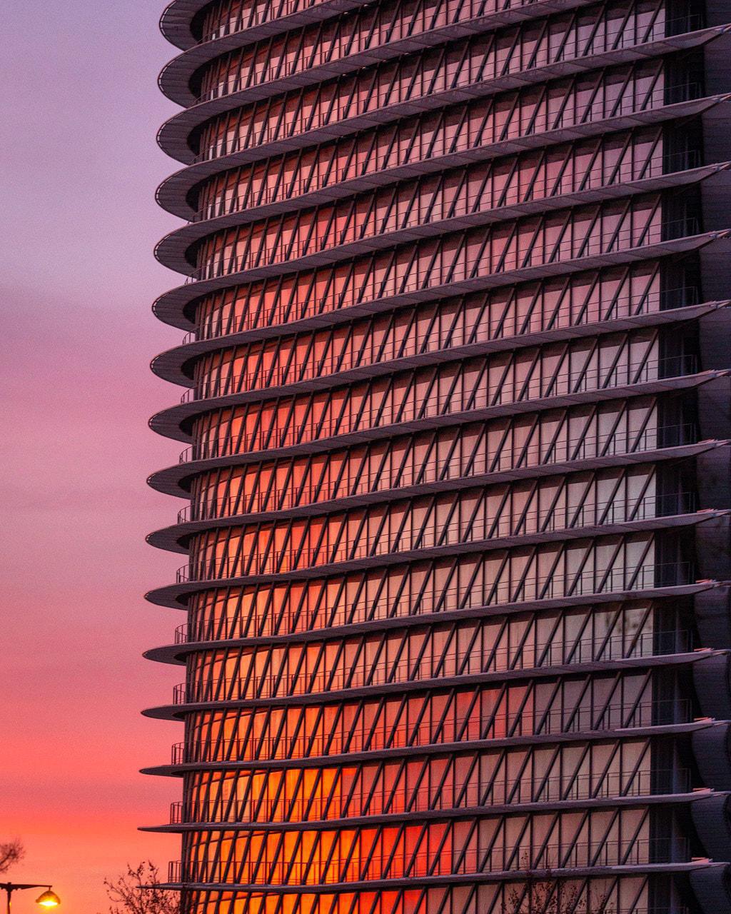 Javier González Javier González