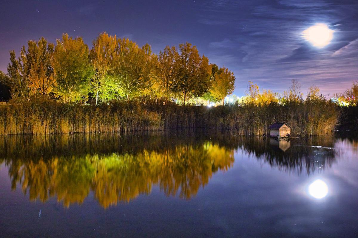 Javier González Javier González