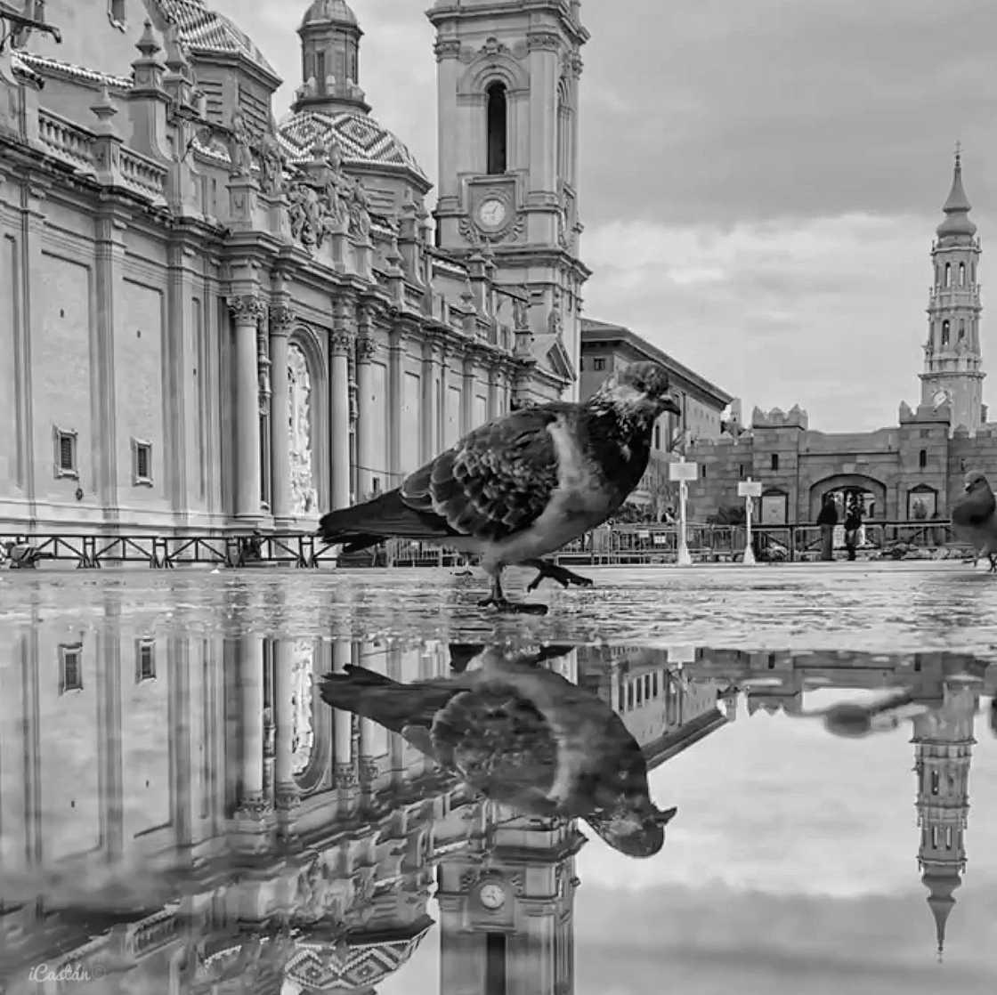 Nacho Castán Nacho Castán