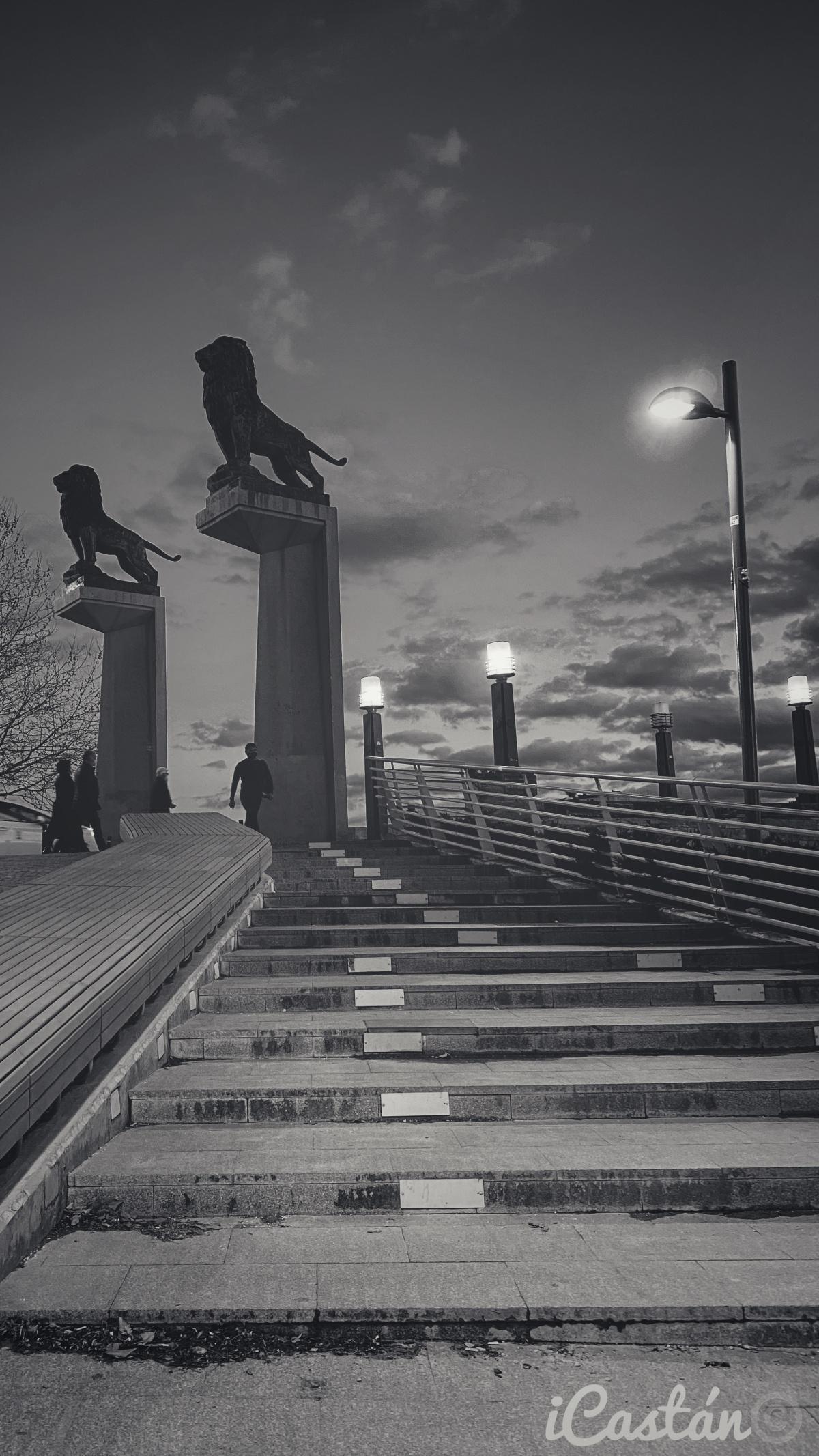 Nacho Castán Nacho Castán