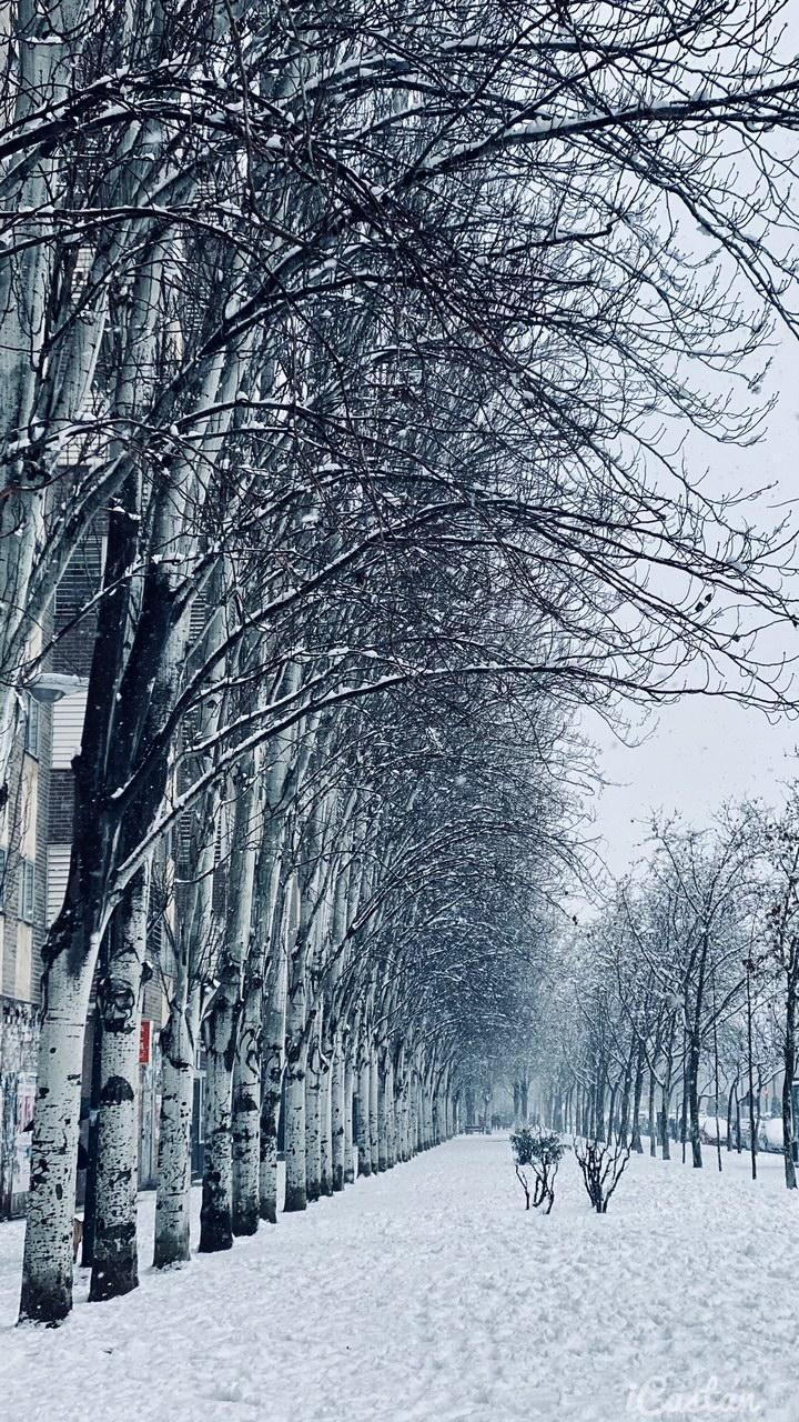 Nacho Castán Nacho Castán