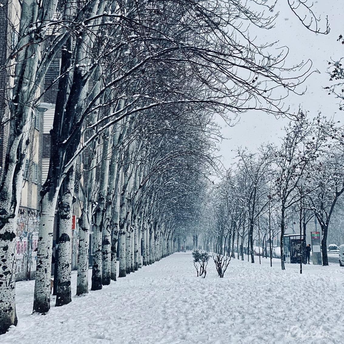 Nacho Castán Nacho Castán