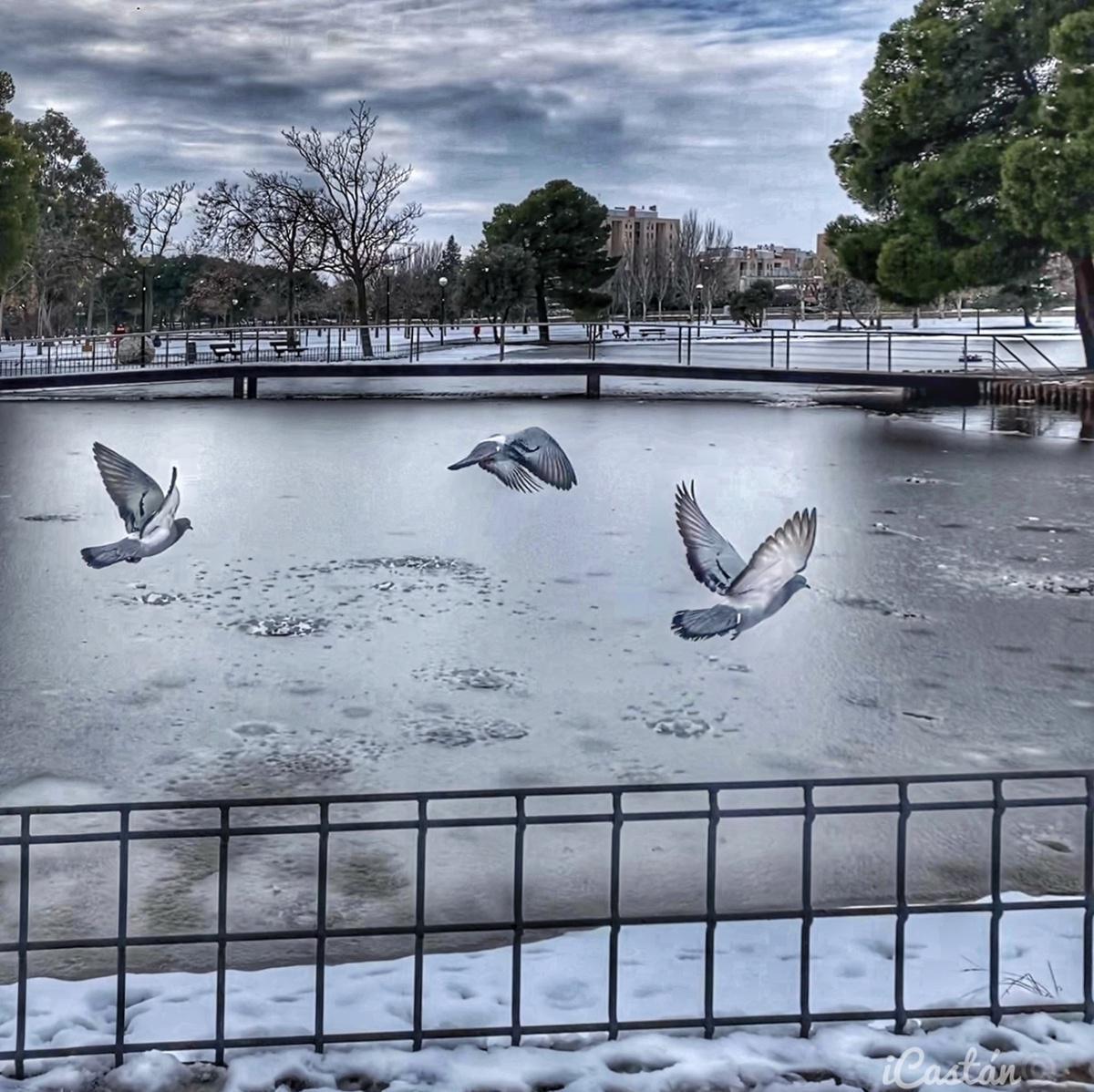 Nacho Castán Nacho Castán