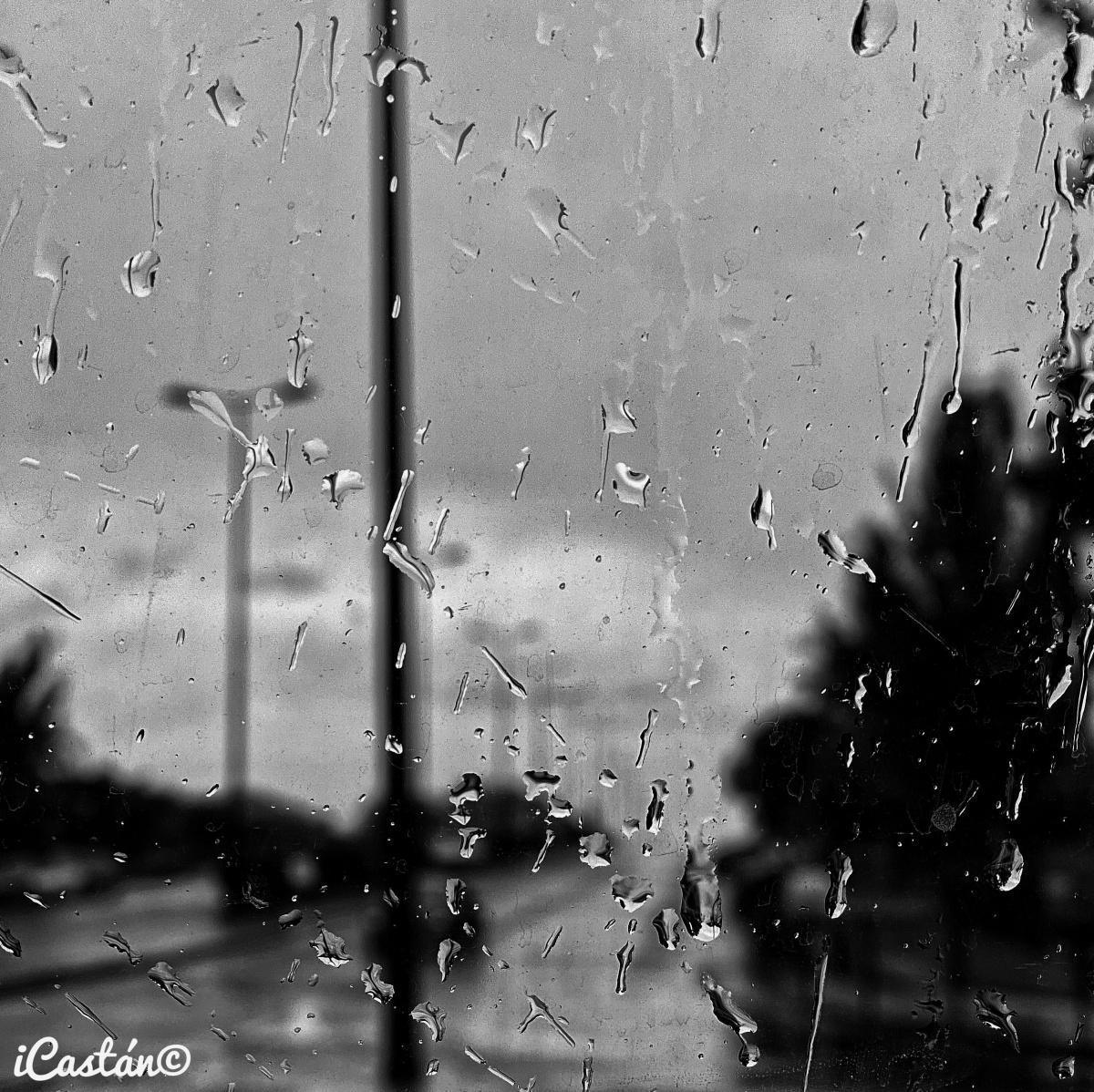 Nacho Castán Nacho Castán