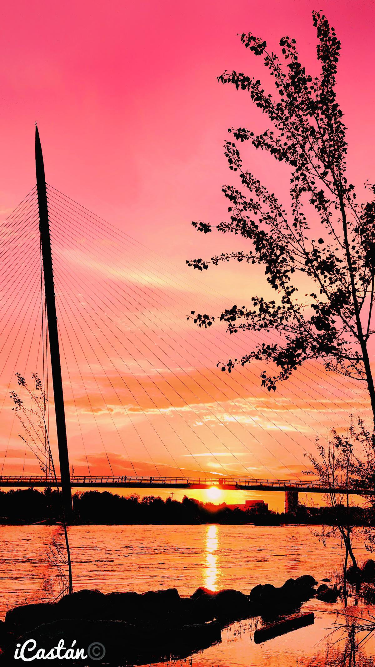 Nacho Castán Nacho Castán