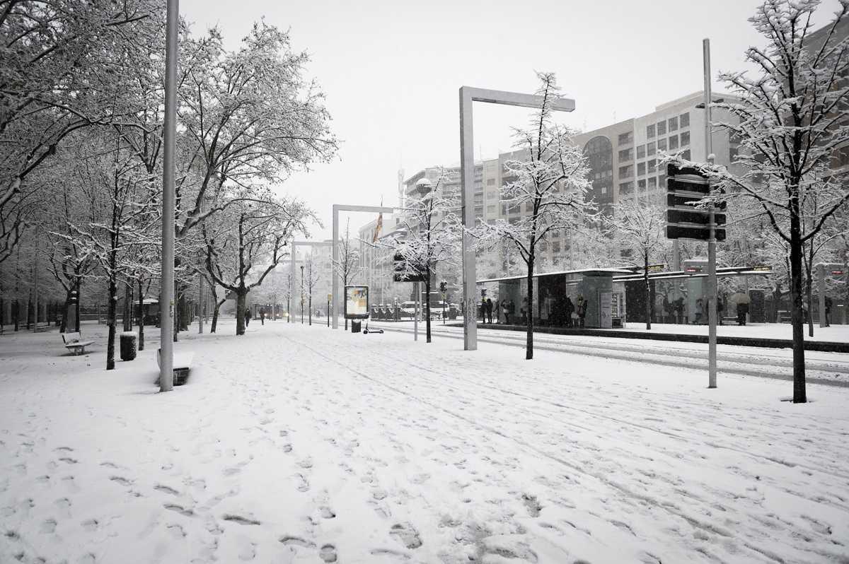 Delfín Sarasa Delfín Sarasa