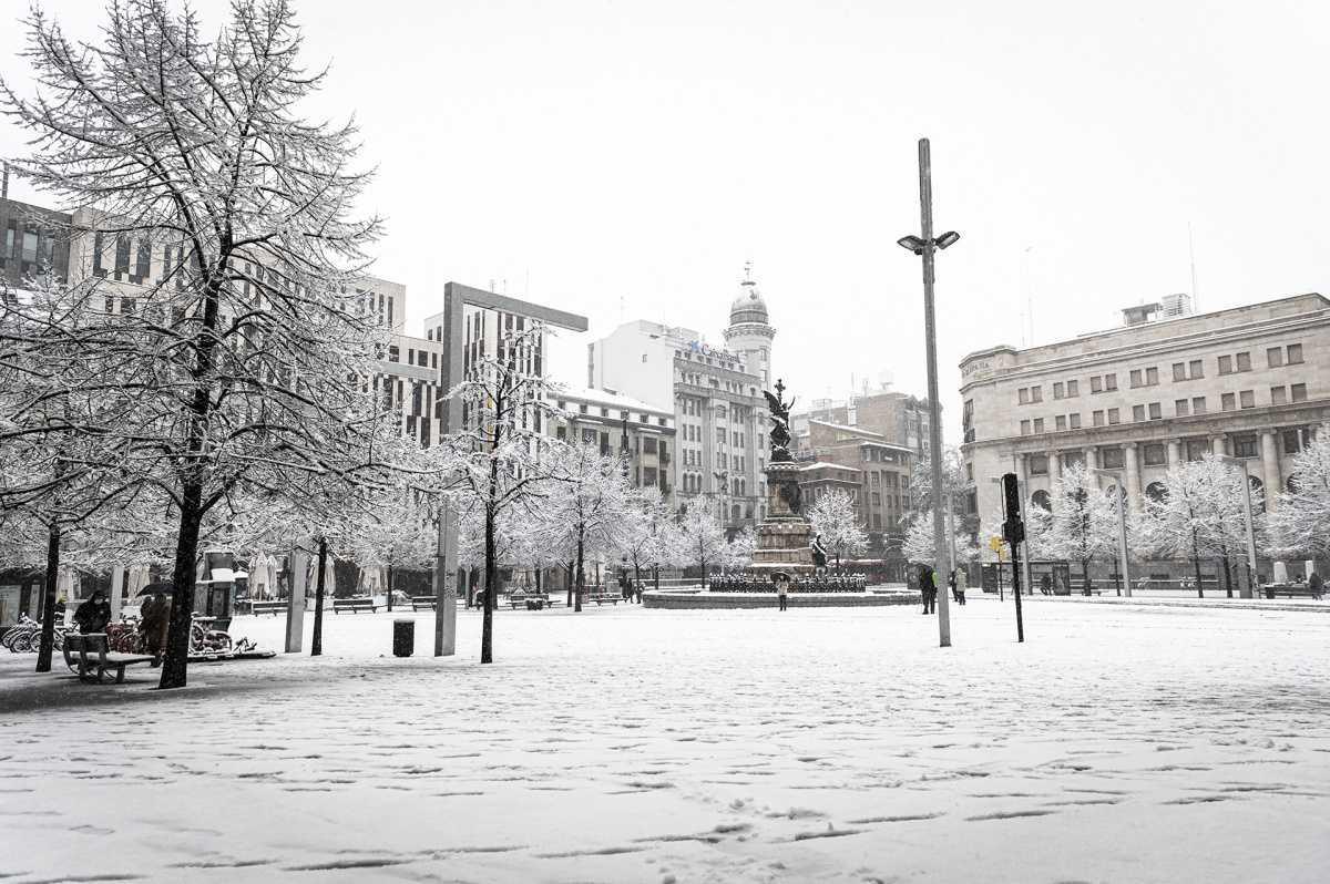 Delfín Sarasa Delfín Sarasa