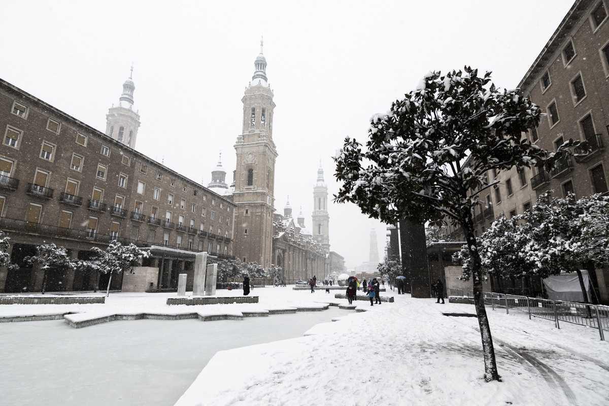 Delfín Sarasa Delfín Sarasa