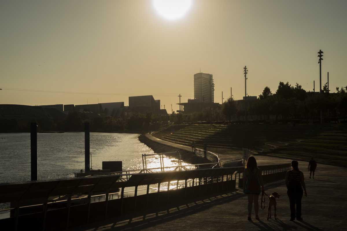 Delfín Sarasa Delfín Sarasa