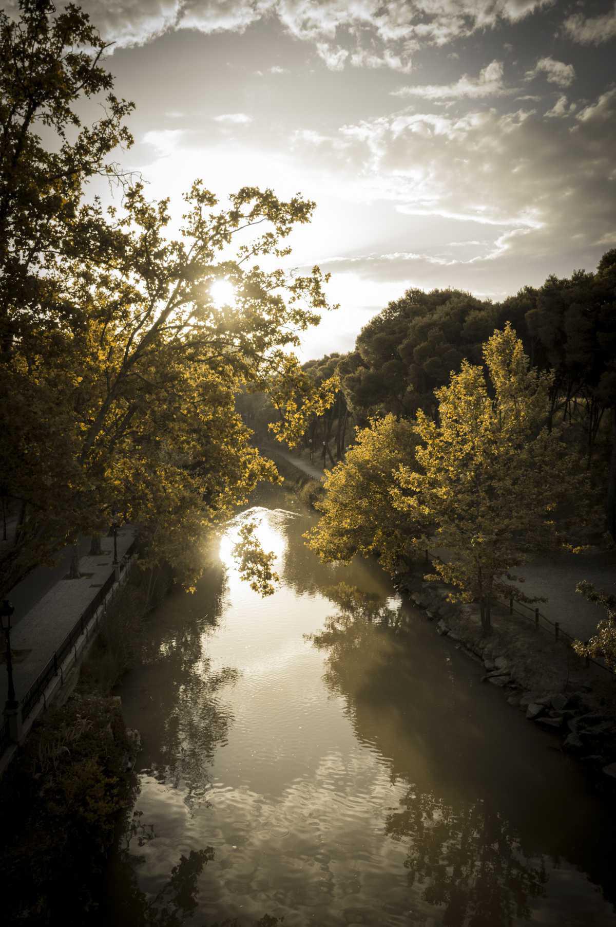 Delfín Sarasa Delfín Sarasa