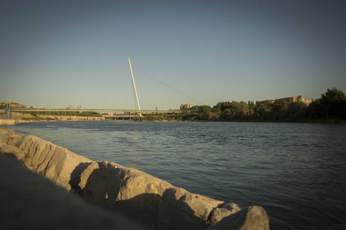 Delfín Sarasa Delfín Sarasa