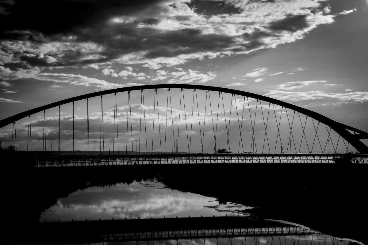 Delfín Sarasa Delfín Sarasa