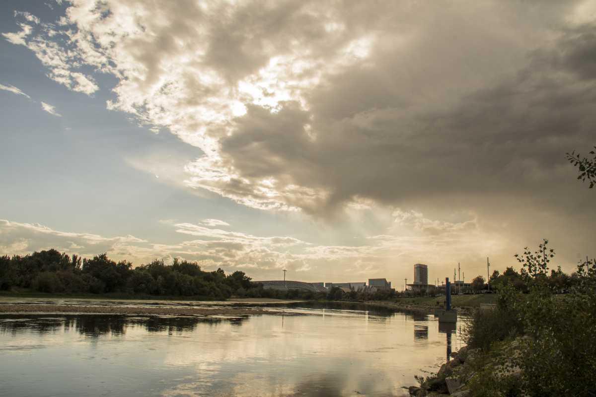 Delfín Sarasa Delfín Sarasa