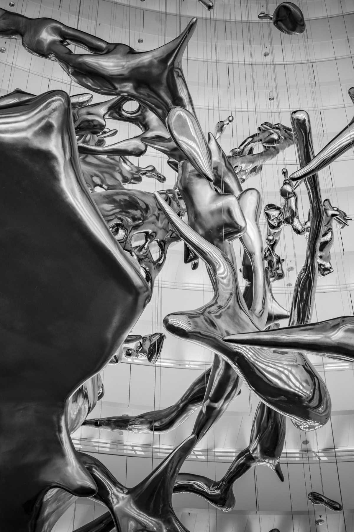 Delfín Sarasa Delfín Sarasa