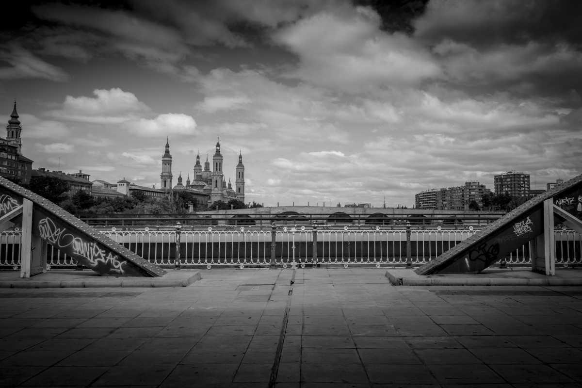 Delfín Sarasa Delfín Sarasa