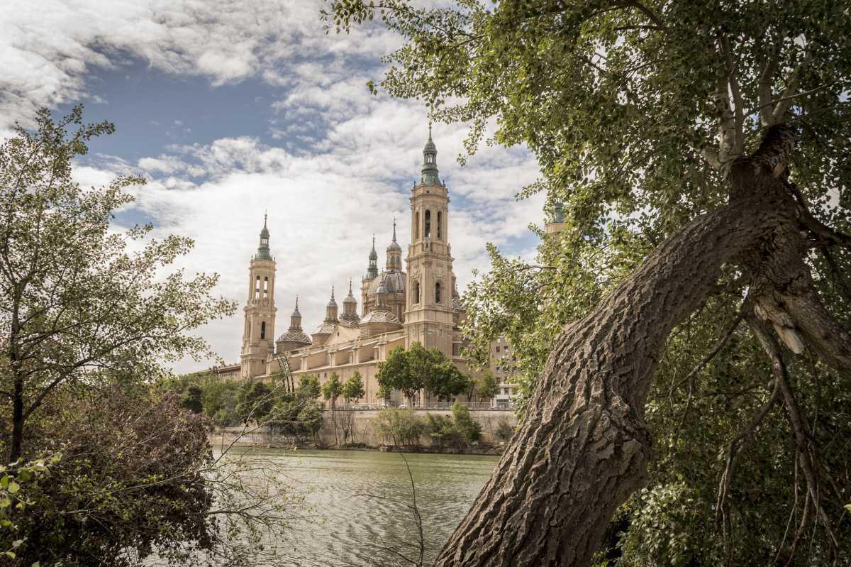 Delfín Sarasa Delfín Sarasa