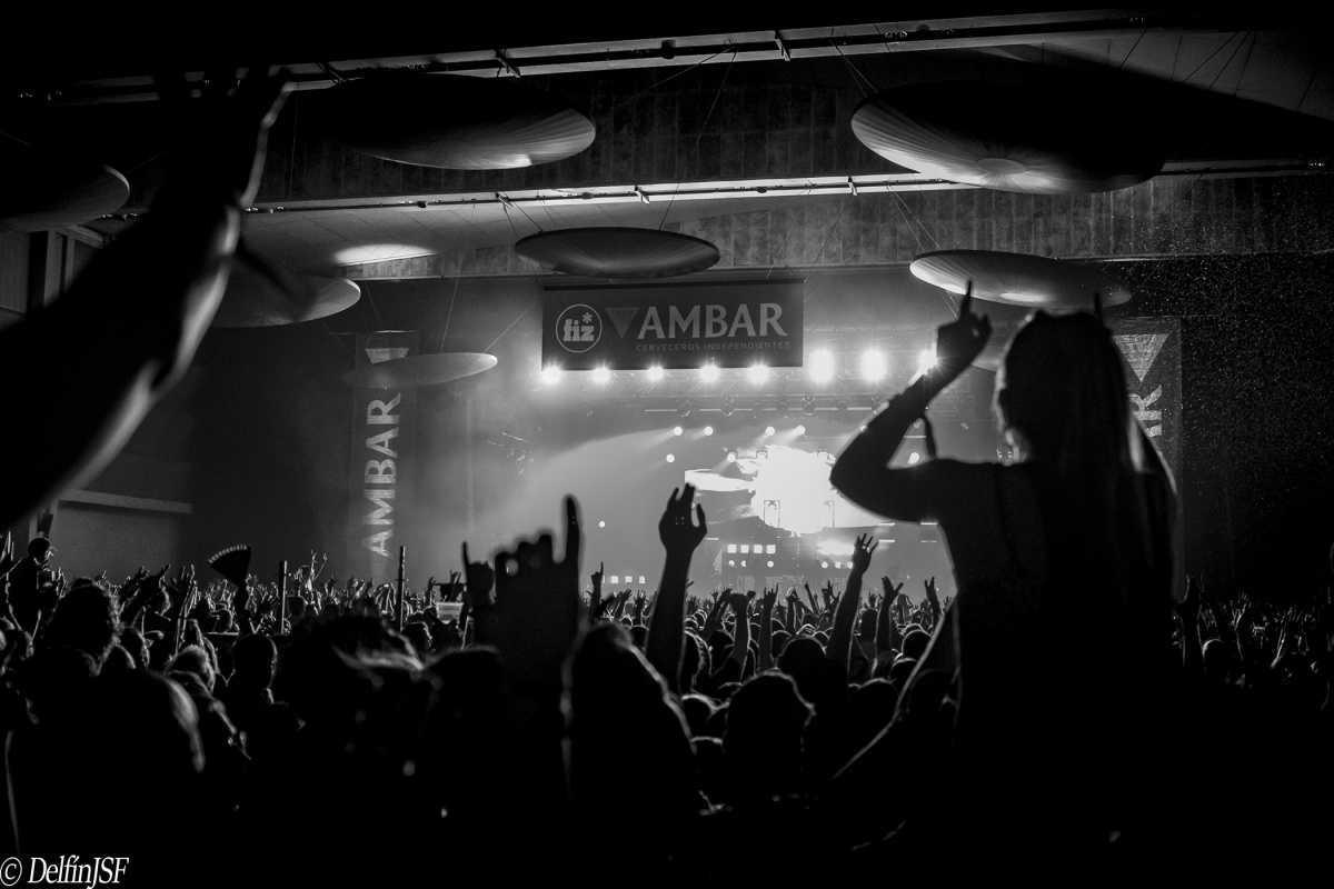 Delfín Sarasa Delfín Sarasa