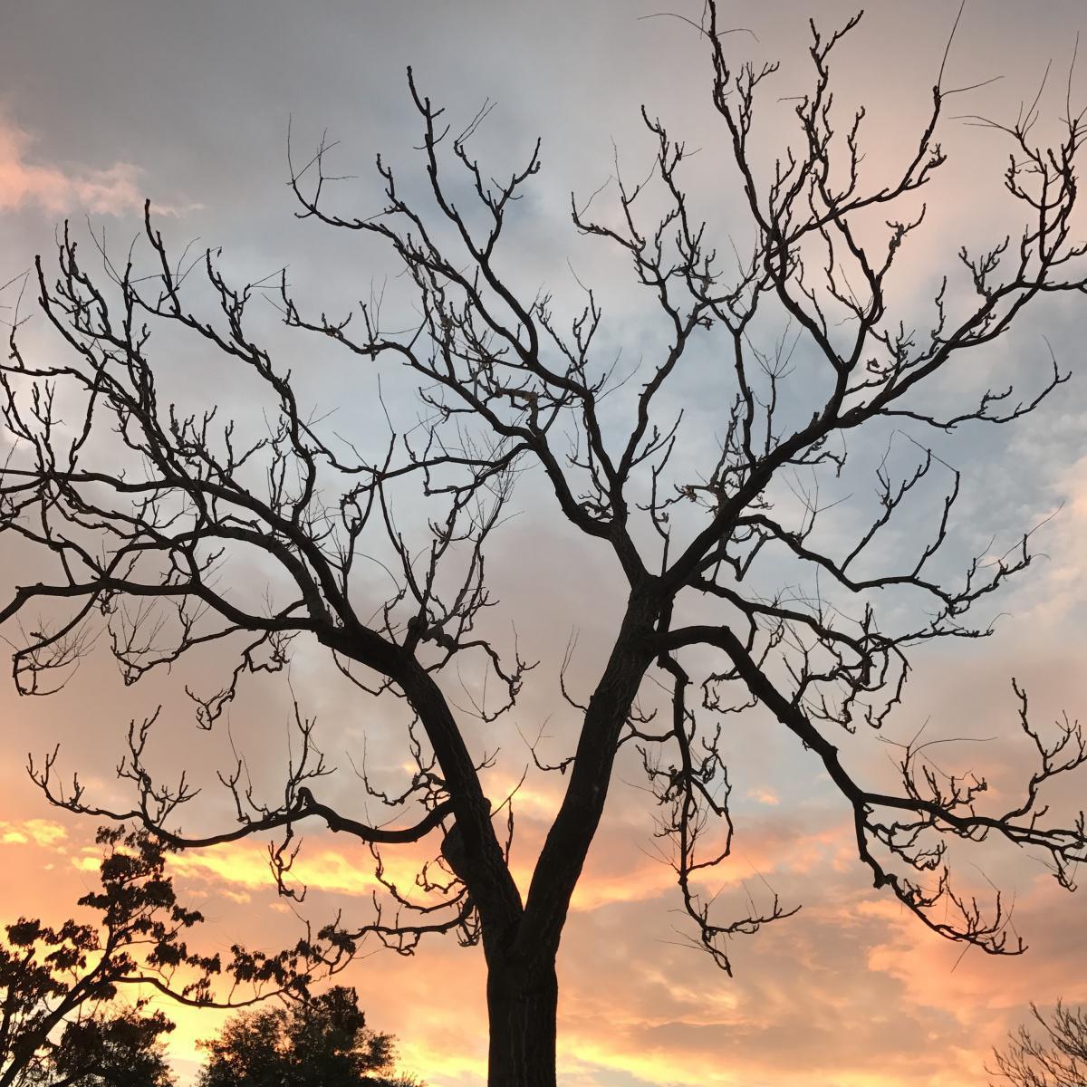 Jorge Azón Jorge Azón