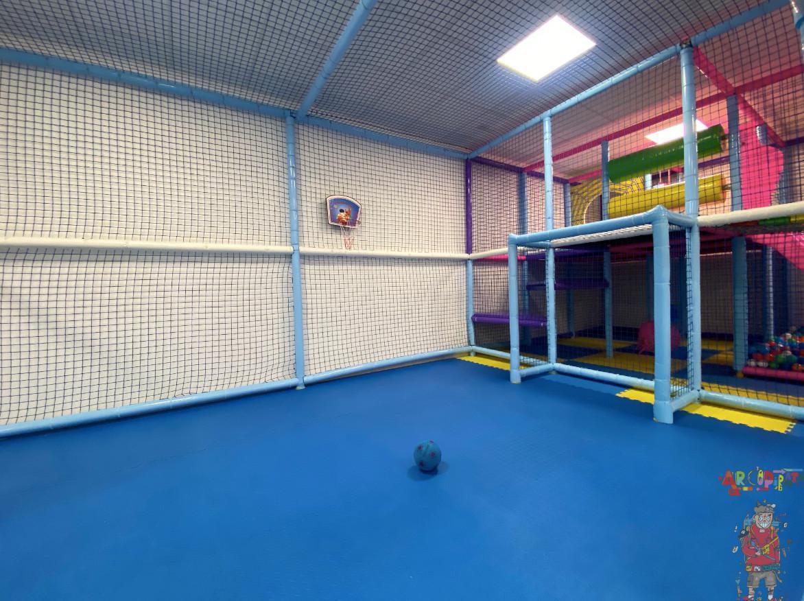 Arcopirata Arcopirata