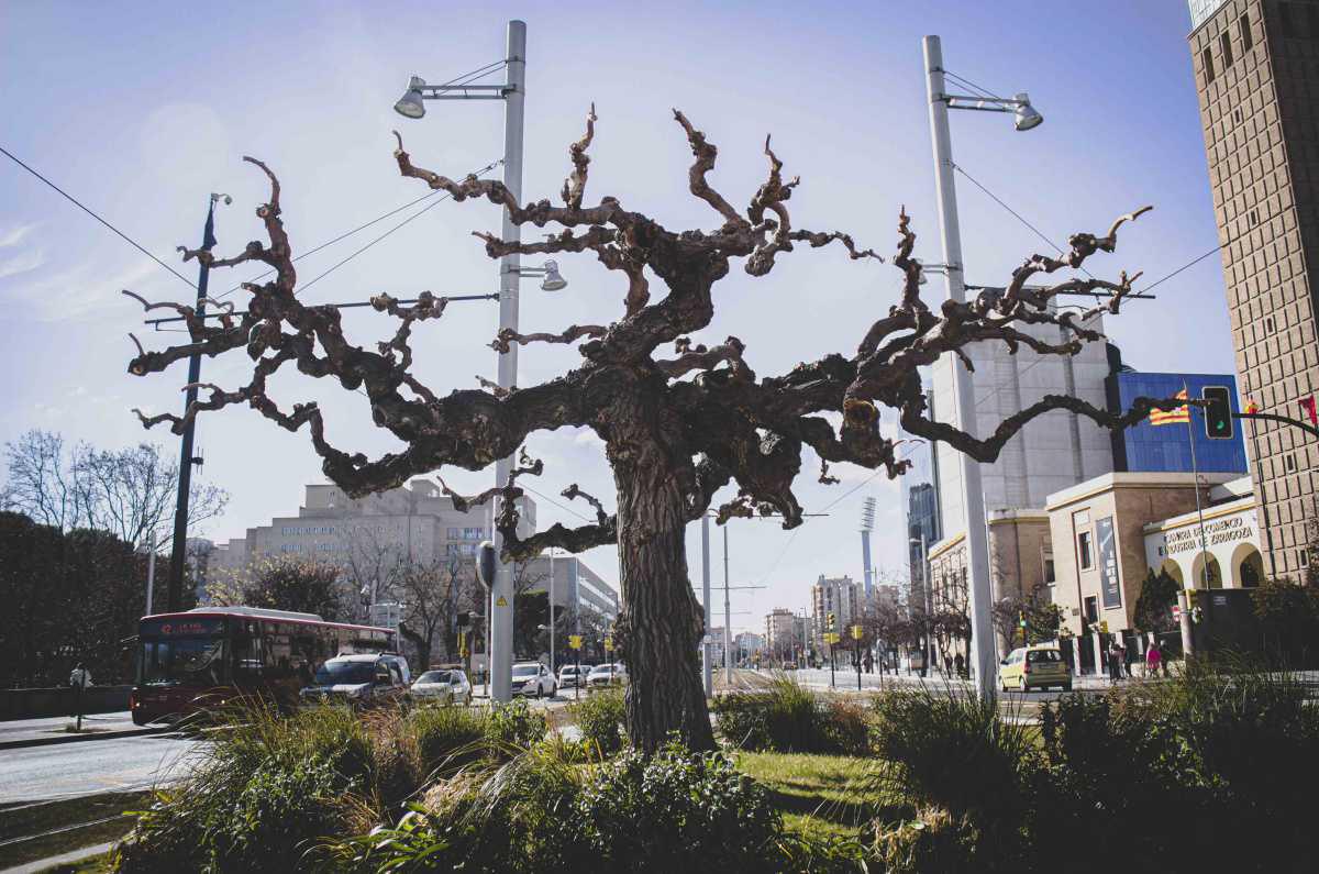 Fotones Zgz Fotones Zgz