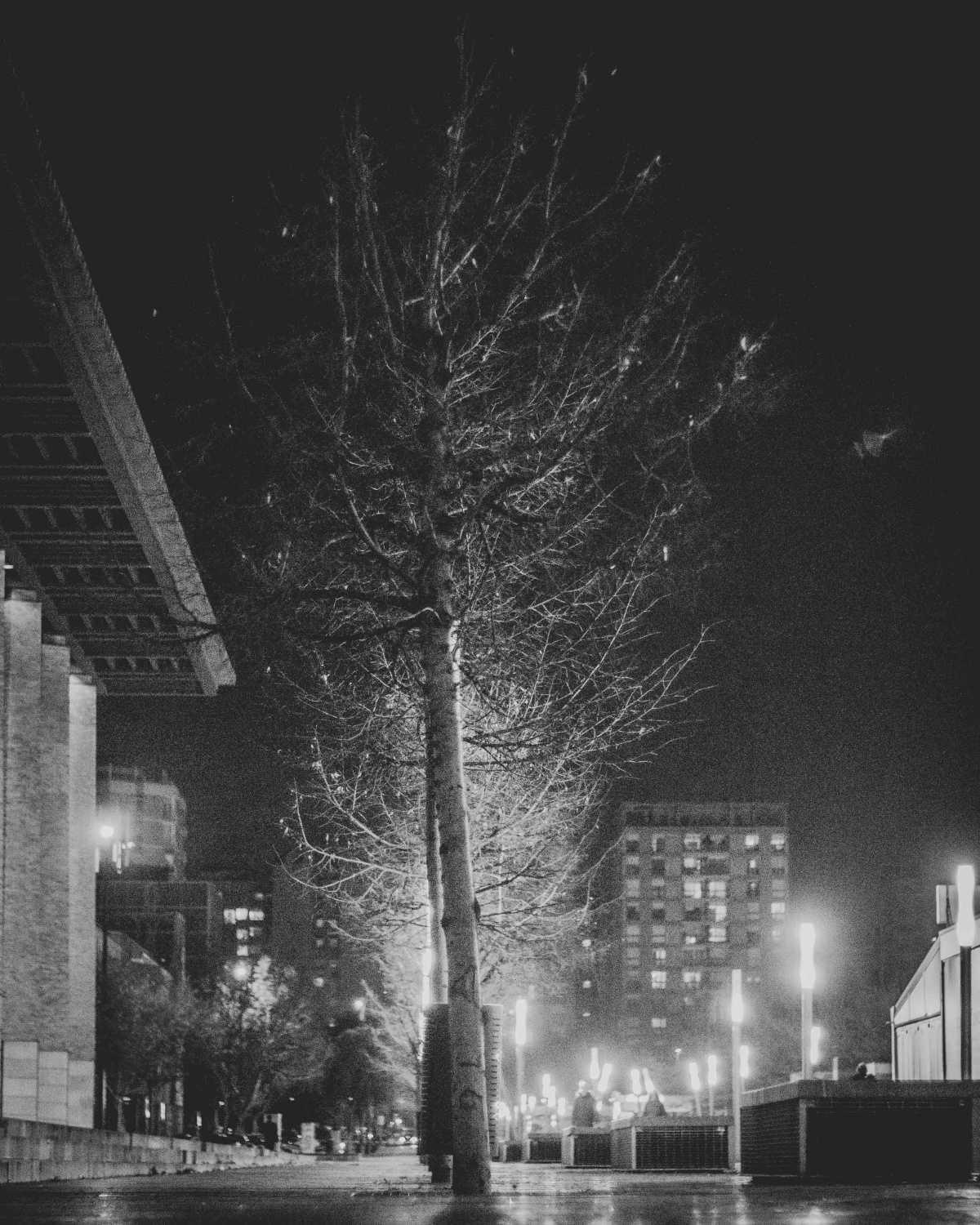 Fotones Zgz Fotones Zgz