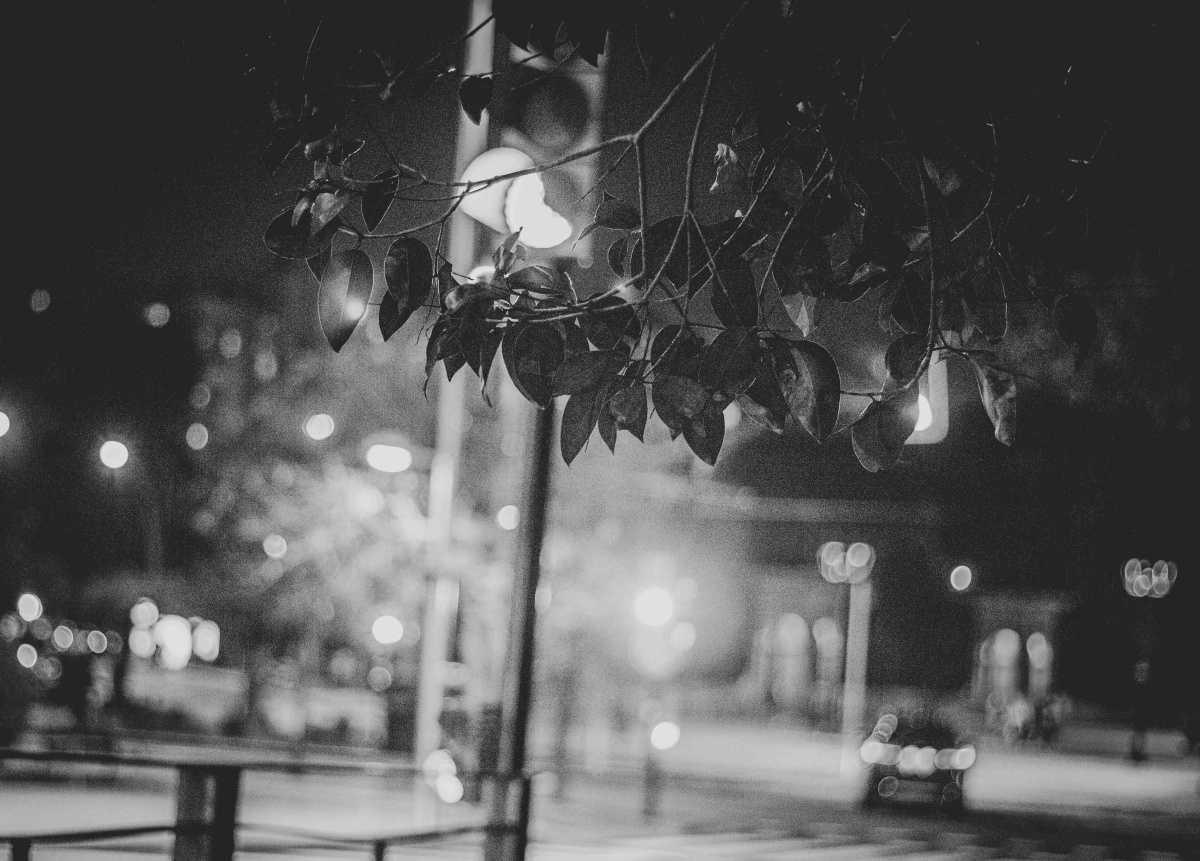 Fotones Zgz Fotones Zgz