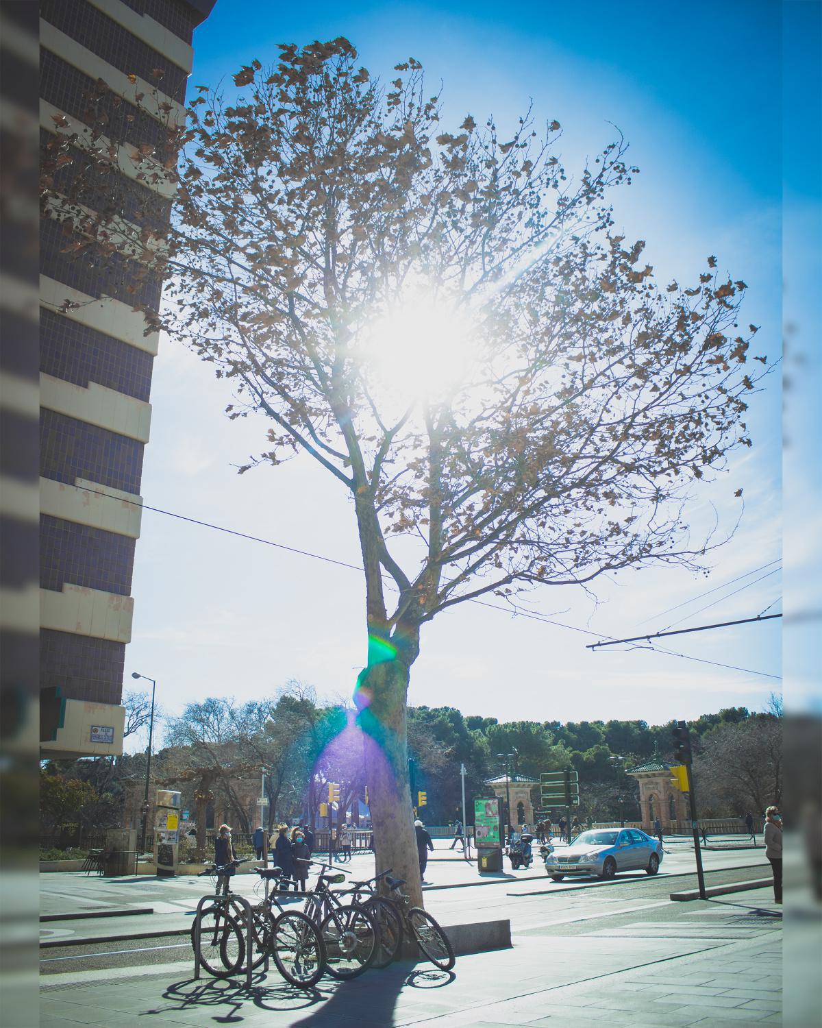 Fotones Zgz Fotones Zgz