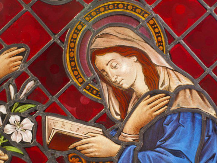 Cristacolor Cristacolor