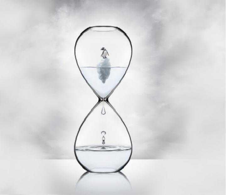 EXPOSICIONES. Patio de la Infanta EXPOSICIONES. Patio de la Infanta