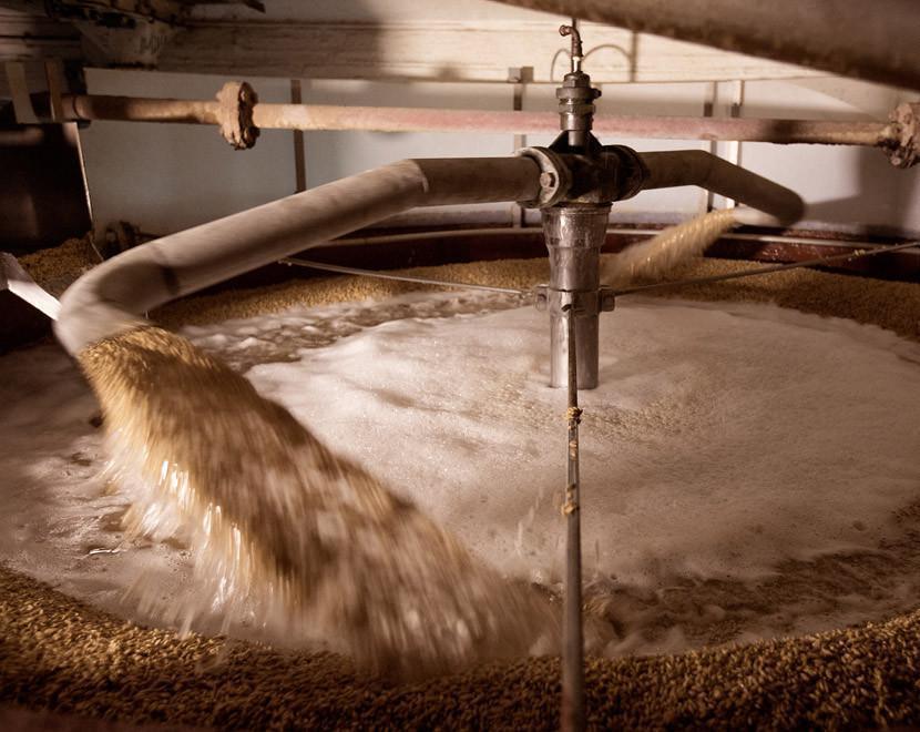 VISITA A LA FÁBRICA DE CERVEZAS AMBAR: DESCUBRE 120 AÑOS DE TRADICIÓN