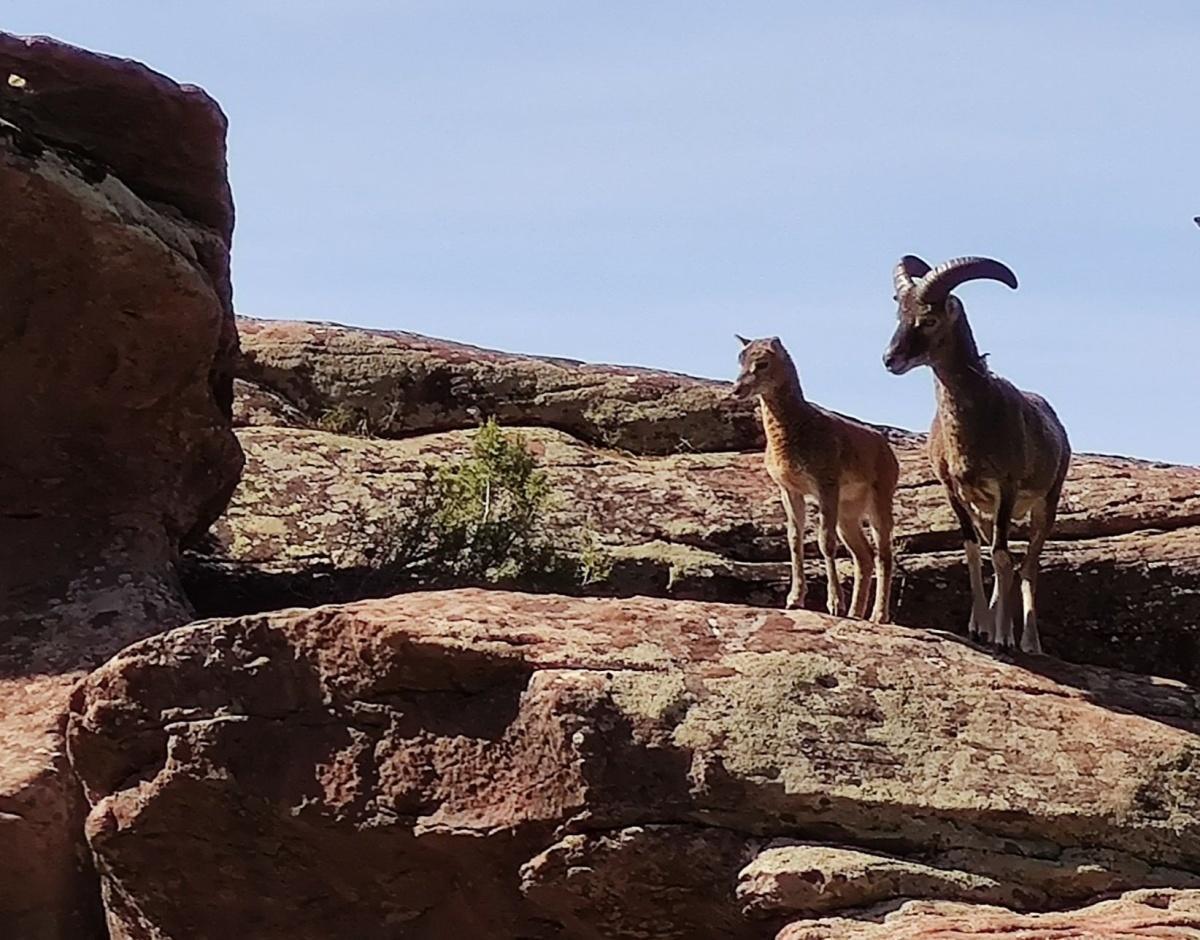 Descubre Albarracín
