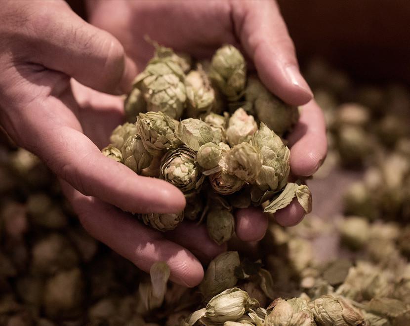 Fábrica de cervezas Ambar - Descubre 120 años de tradición Fábrica de cervezas Ambar - Descubre 120 años de tradición