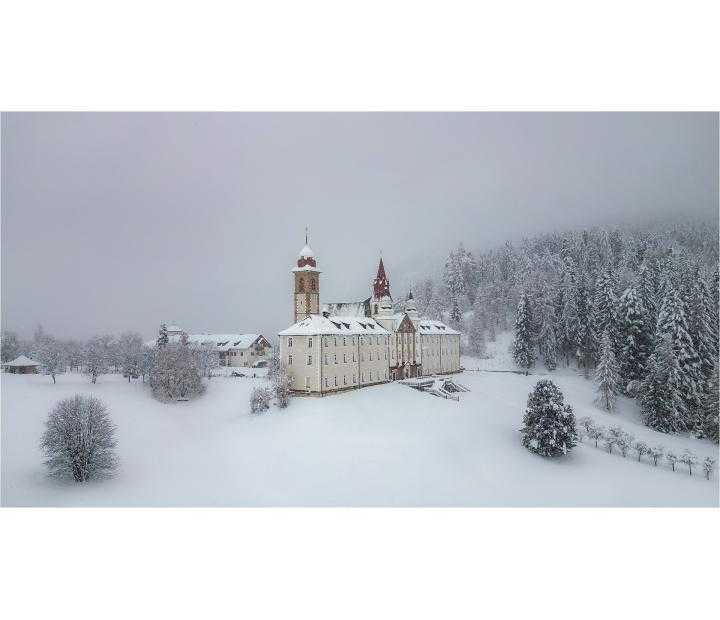 Patio de la Infanta Patio de la Infanta