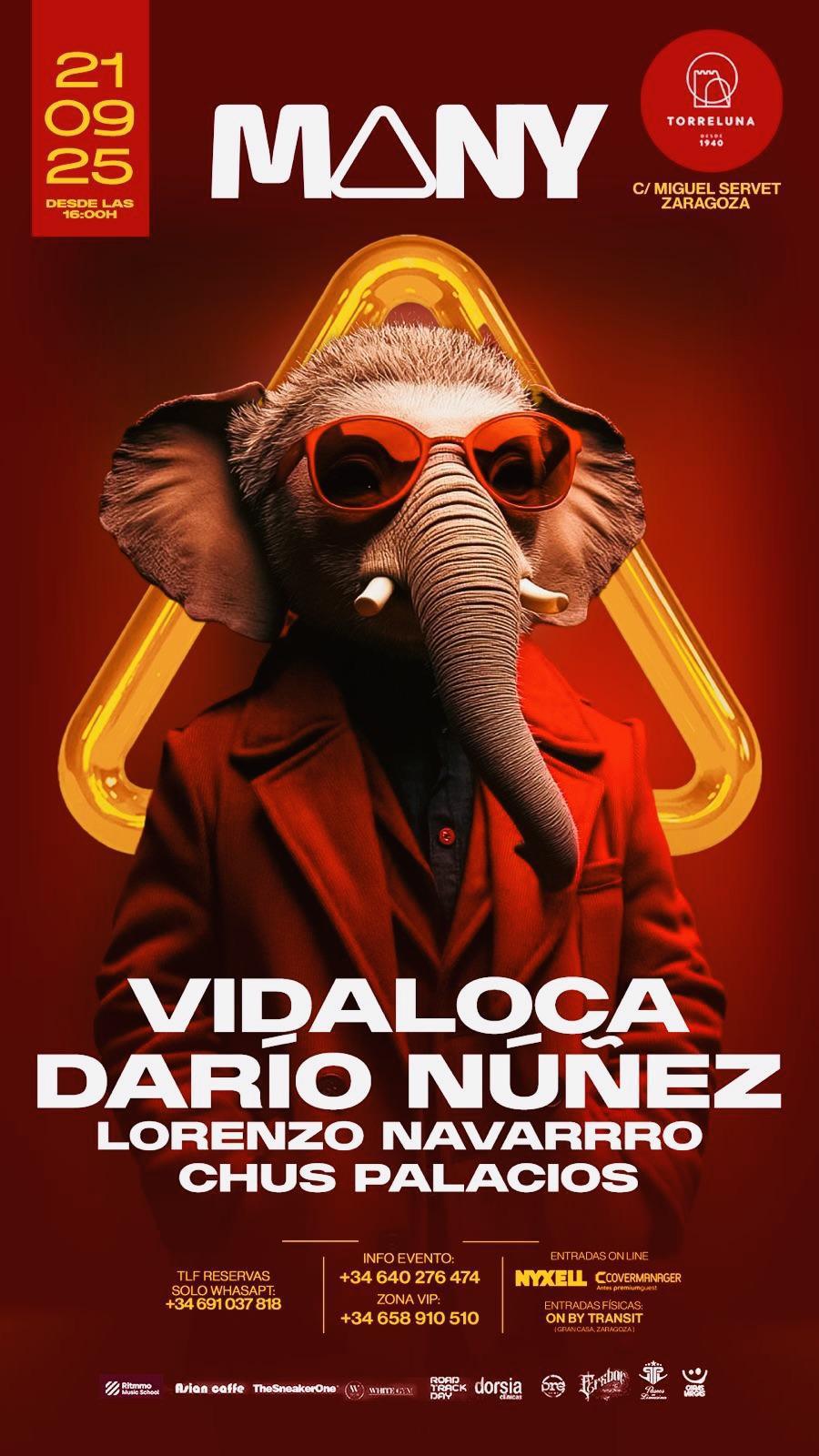 MANY - VIDALOCA, DARÍO NÚÑEZ, LORENZO NAVARRO Y CHUS PALACIOS. Torreluna