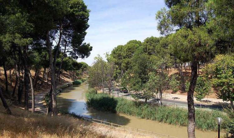 Ruta circular por el canal y los pinares de Venecia