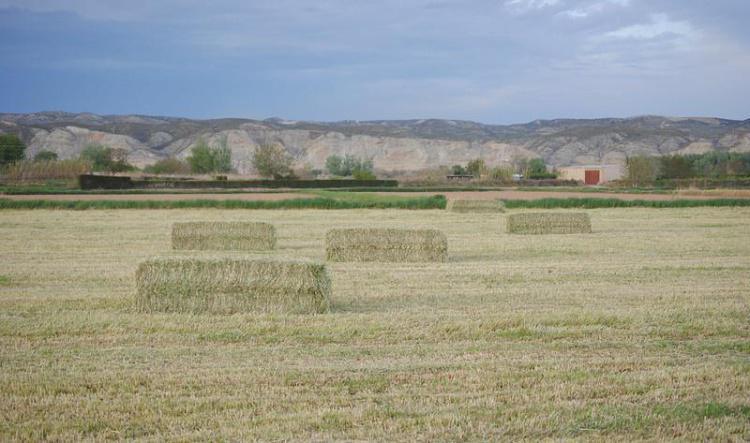 Margen derecha: Zaragoza - Monzalbarba