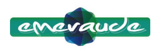 Emeraude Lille Emeraude Lille