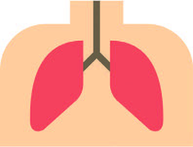 Les traitements actuels du cancer Les traitements actuels du cancer