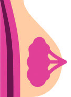 Les traitements actuels du cancer Les traitements actuels du cancer