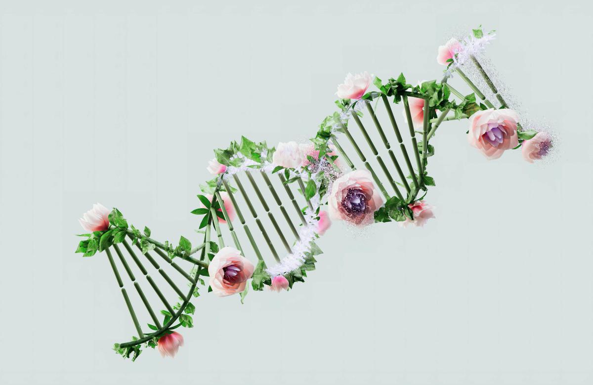 Un cancer est apparu sans mutation de l’ADN