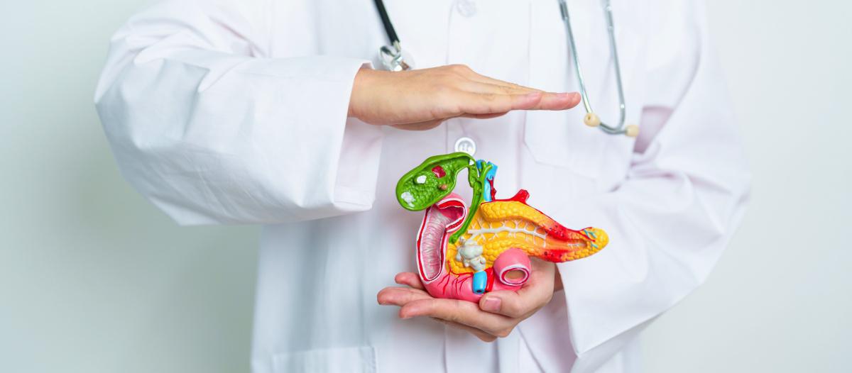 Cancer du pancréas : un nouvel espoir grâce à une avancée scientifique majeure
