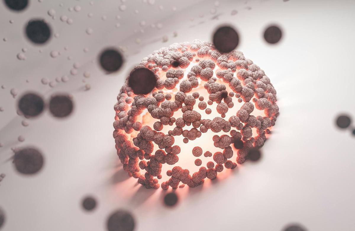 Cancer : et si le fer était la faille des cellules métastatiques Cancer : et si le fer était la faille des cellules métastatiques