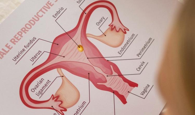 MOINS VACCINES ET MOINS DEPISTES LES OUTRE-MER SONT EN RETARD DANS LA LUTTE CONTRE LE CANCER DE L’UTERUS