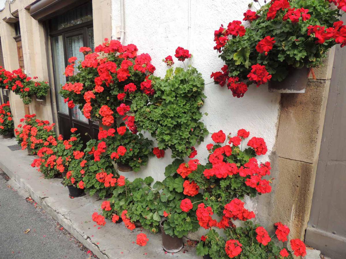 Brusque : village fleuri Brusque : village fleuri