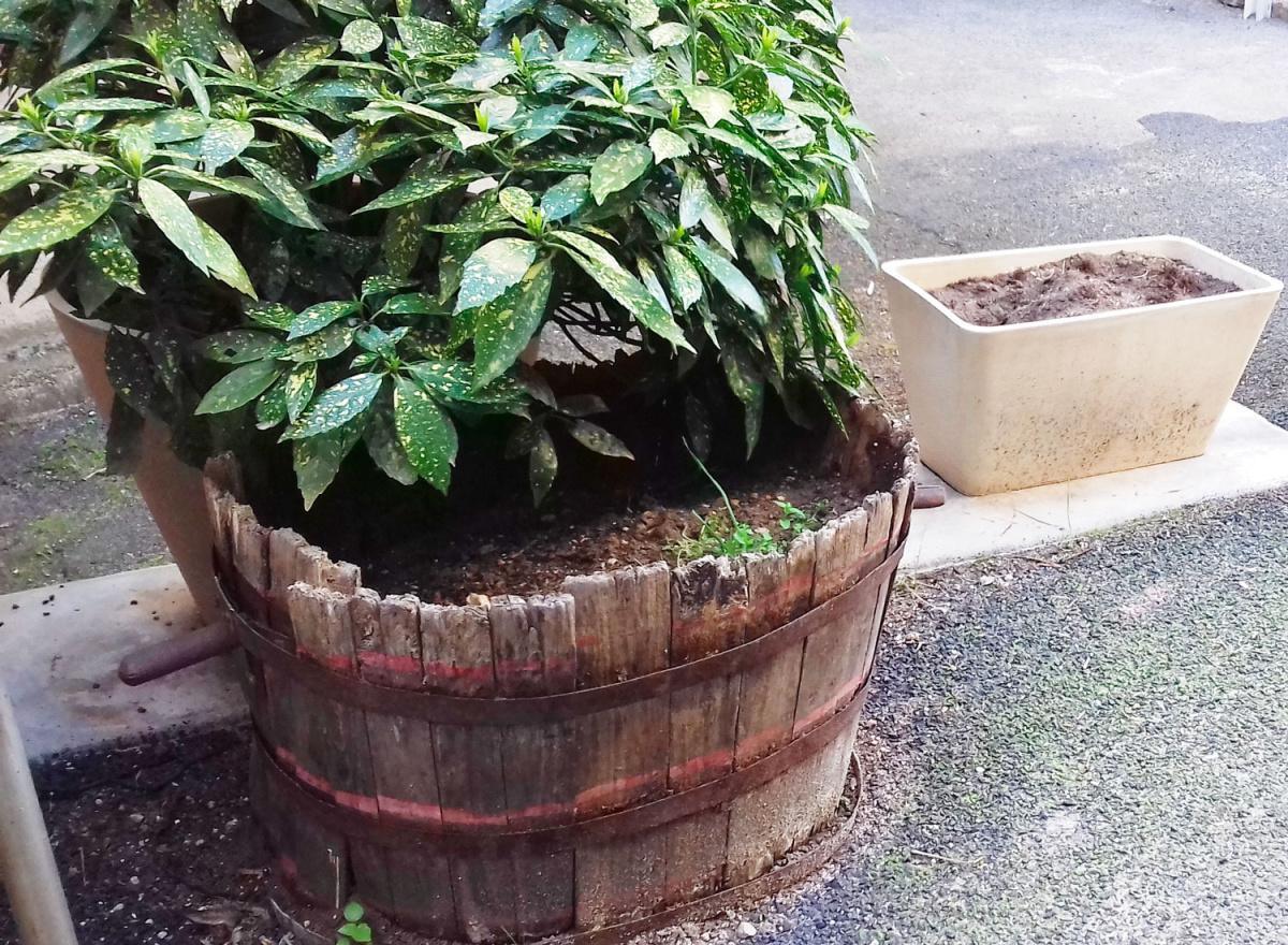 St-Rome de Tarn St-Rome de Tarn