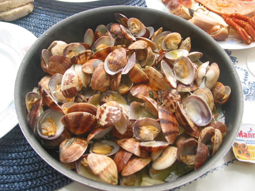 Amêijoas - Venusmuscheln