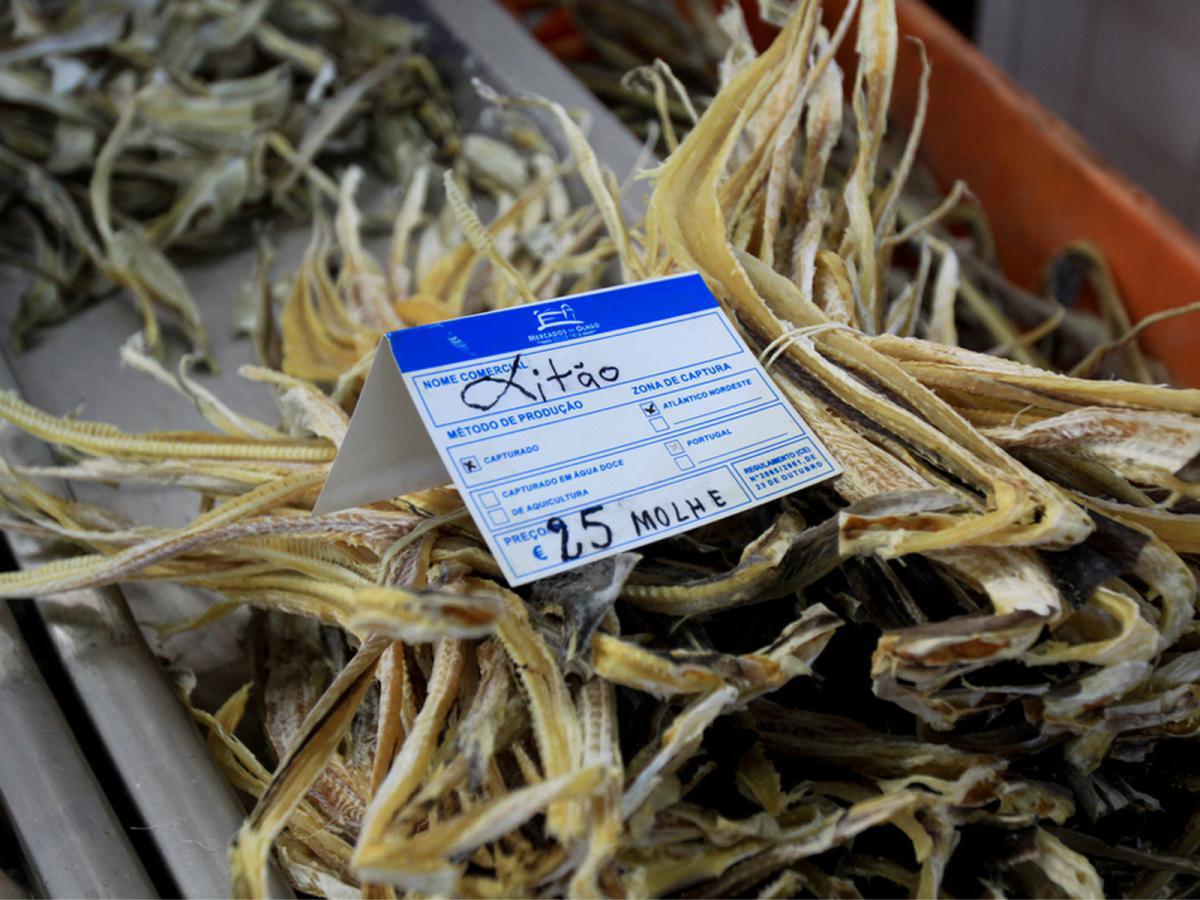 Pata Roxa - Katzenhai