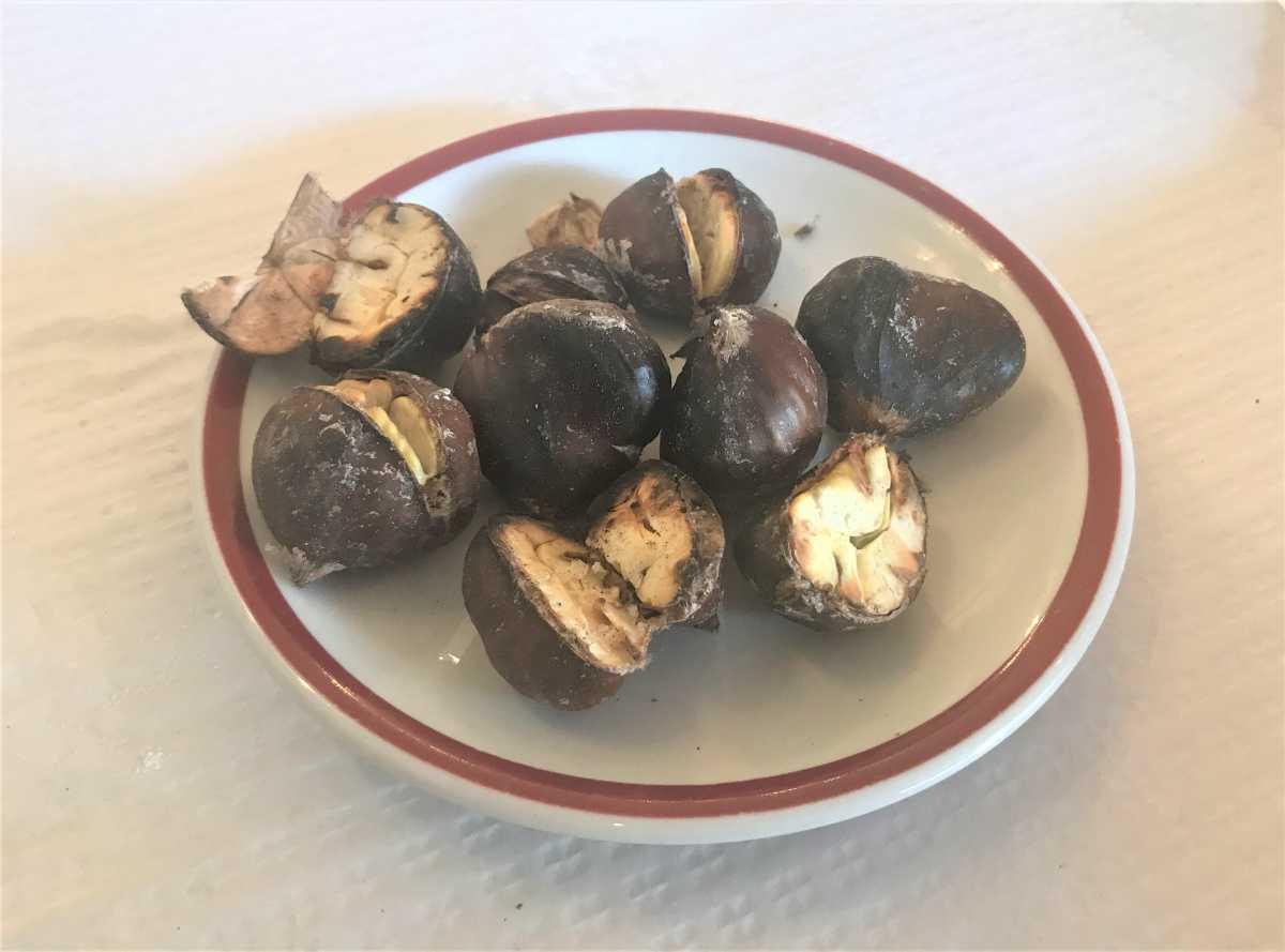 Castanhas - Esskastanien 