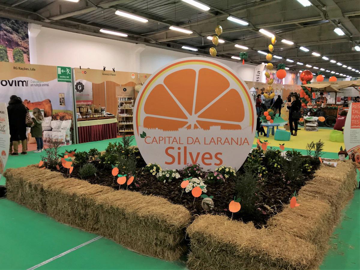 Laranja - Orange